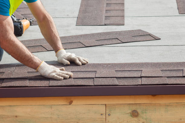 Best Gutter Installation and Repair  in Sandy Valley, NV